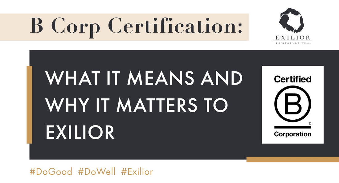 B Corp Certification: What It Means and Why It Matters to Exilior