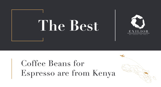 The Best Coffee Beans for Espresso Are from Kenya