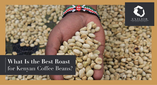 What Is the Best Roast for Kenyan Coffee Beans?
