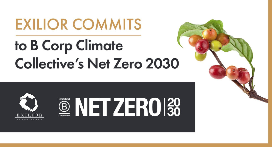 Exilior Commits to B Corp Climate Collective’s Net Zero 2030